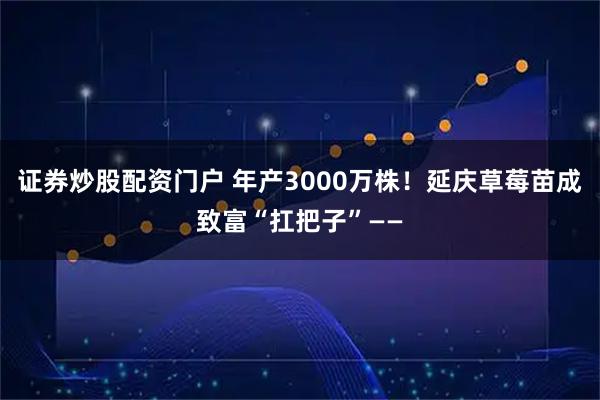 证券炒股配资门户 年产3000万株！延庆草莓苗成致富“扛把子”——