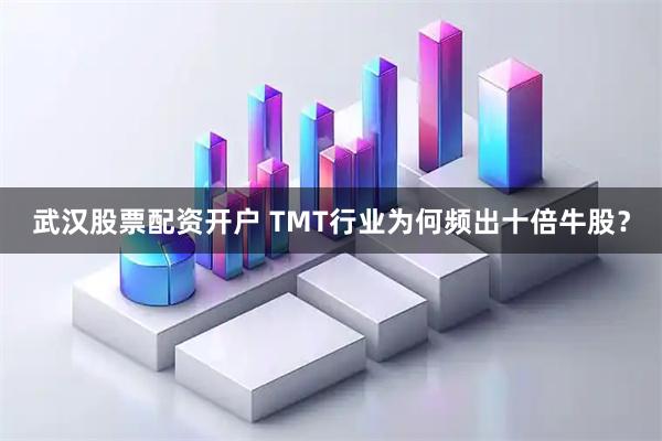 武汉股票配资开户 TMT行业为何频出十倍牛股？