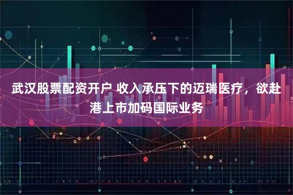 武汉股票配资开户 收入承压下的迈瑞医疗，欲赴港上市加码国际业务